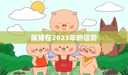 属猪在2023年的运势(猪年大展宏图财运亨通)