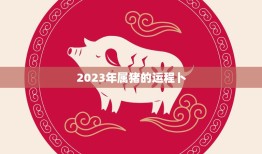 2023年属猪的运程卜(猪年大吉财运亨通)