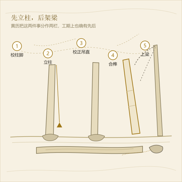 自建房竖柱与上梁的工序衔接示意：校柱脚、立柱、校正、合榫、架梁