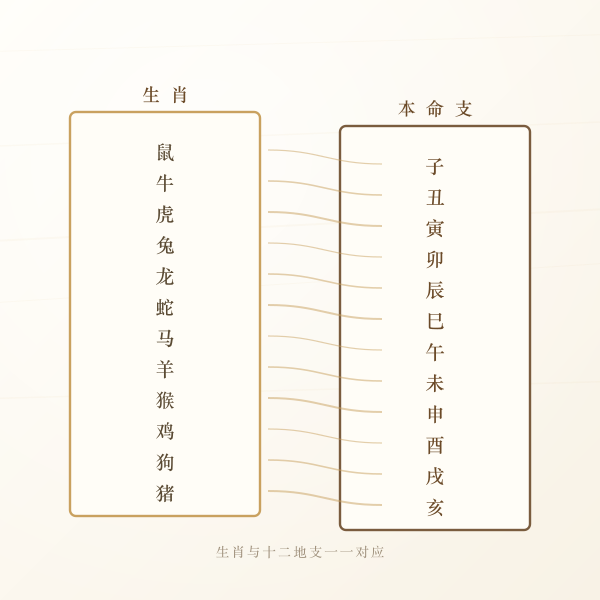 十二生肖与本命支对应关系图