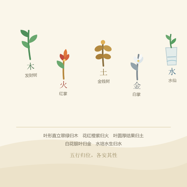 五行与植物归行示意