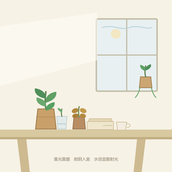 书桌与窗边的绿植布置示意