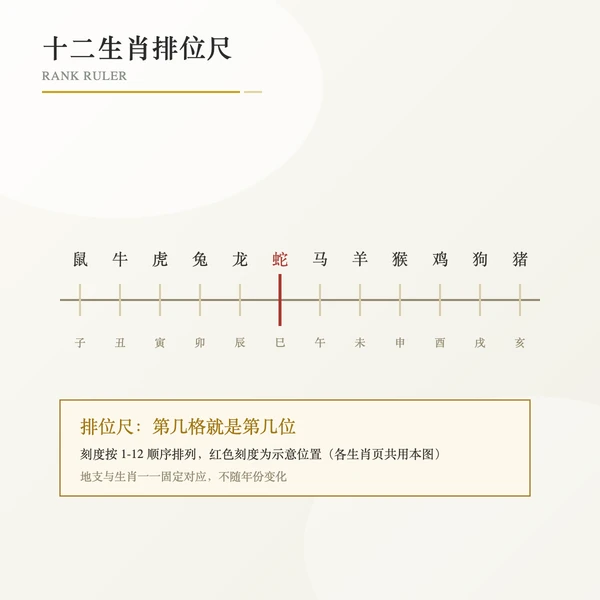 十二生肖排位尺,属龙位次标红