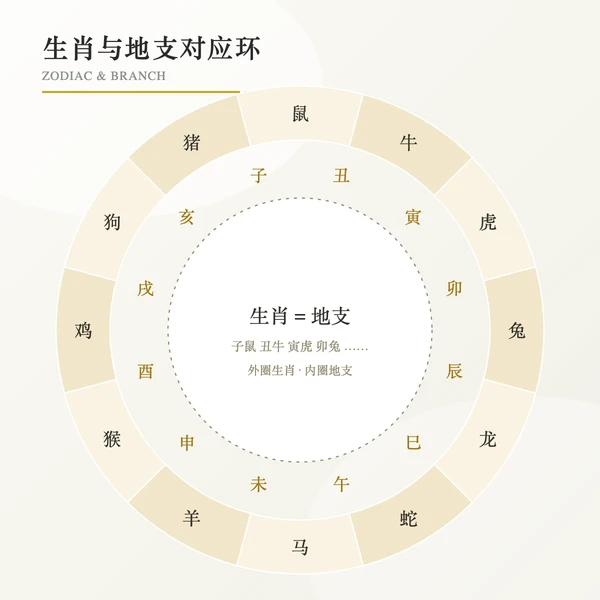 生肖与地支时辰对应环