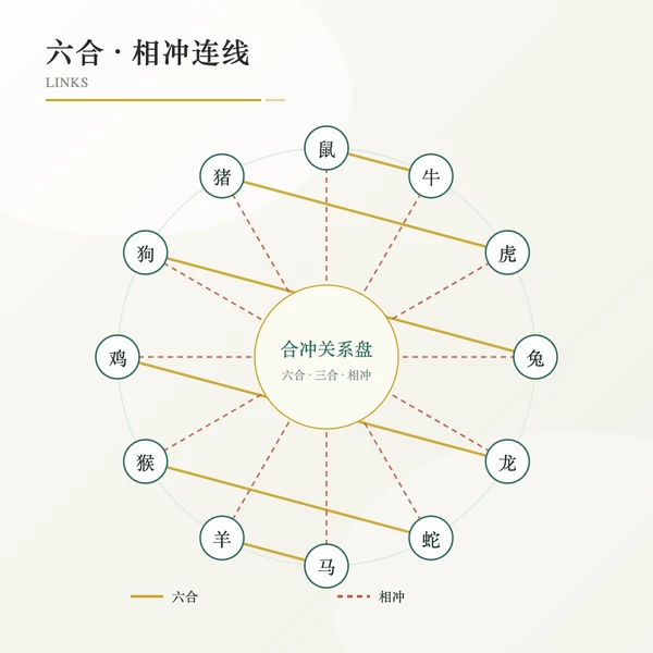 生肖六合三合关系连线