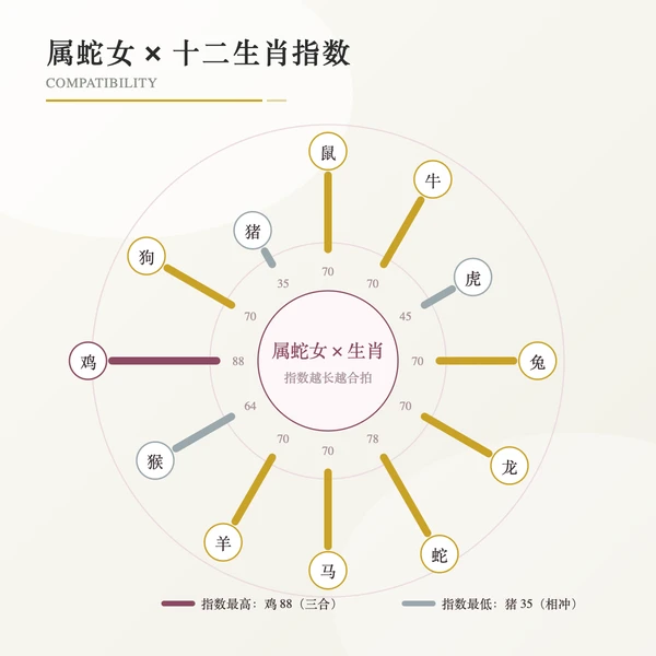 属蛇女与十二生肖关系罗盘