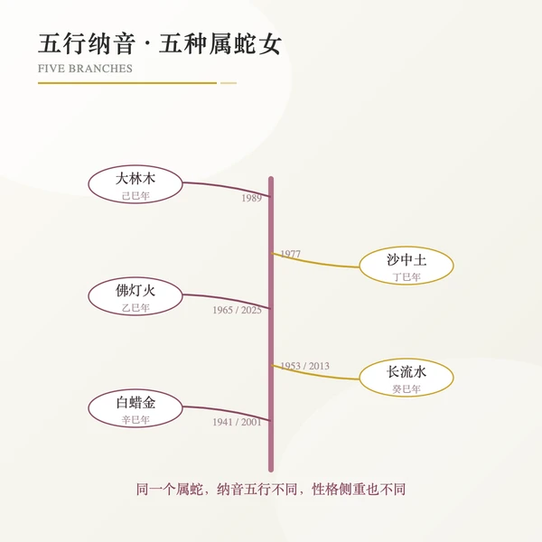五行纳音五分支年份分布