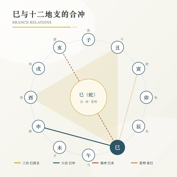 巳与十二地支合冲关系盘