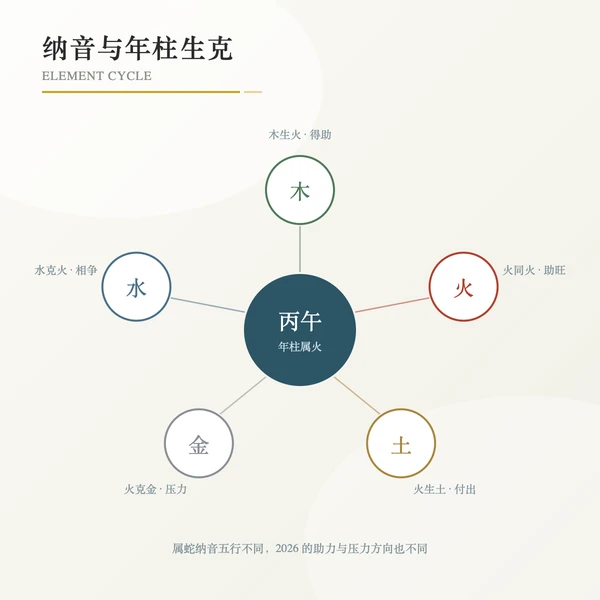 属蛇出生年份纳音与年柱生克