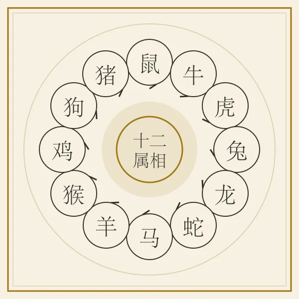 十二生肖环形排列示意