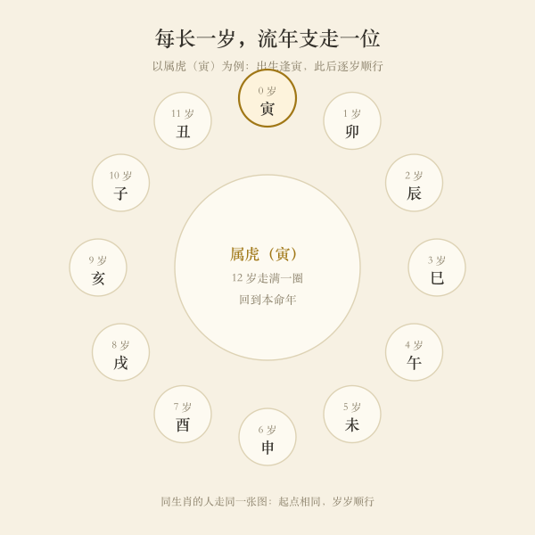岁数与流年支的对应走格示意