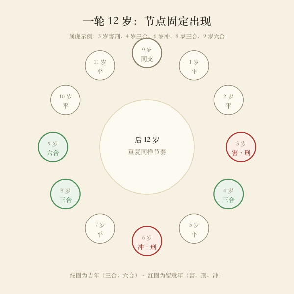 十二岁一轮关系环示意