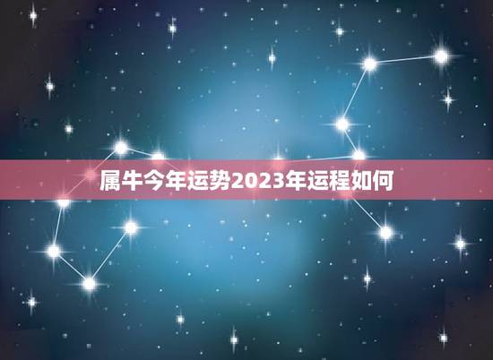 属牛今年运势2023年运程如何(介绍牛年运势展望未来)
