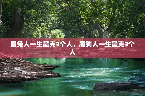 属兔人一生最克3个人，属狗人一生最克3个人