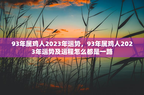 93年属鸡人2023年运势，93年属鸡人2023年运势及运程怎么都是一路