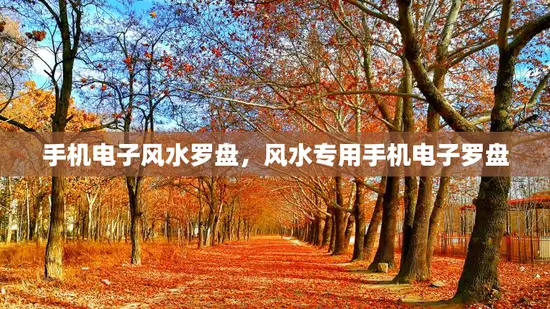 手机电子风水罗盘，风水专用手机电子罗盘