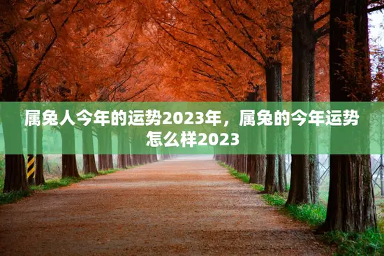 属兔人今年的运势2023年，属兔的今年运势怎么样2023