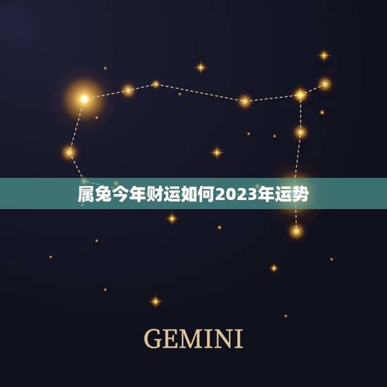 属兔今年财运如何2023年运势(兔子运势大介绍) 属兔今年财运如何2023年运势(兔子运势大介绍)