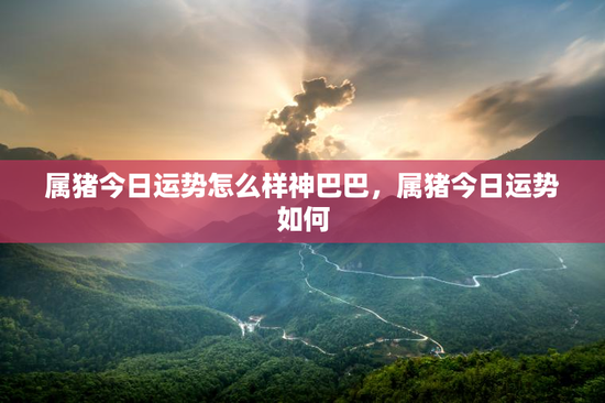 属猪今日运势怎么样神巴巴，属猪今日运势如何