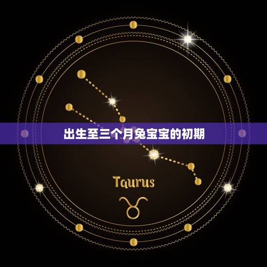 出生至三个月兔宝宝的初期