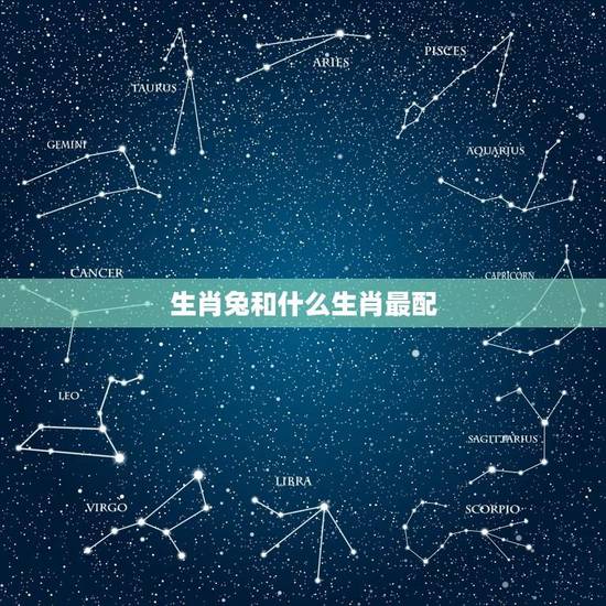 生肖兔和什么生肖最配(十二生肖配对指南) 生肖兔和什么生肖最配(十二生肖配对指南)