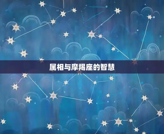 属相与摩羯座的智慧