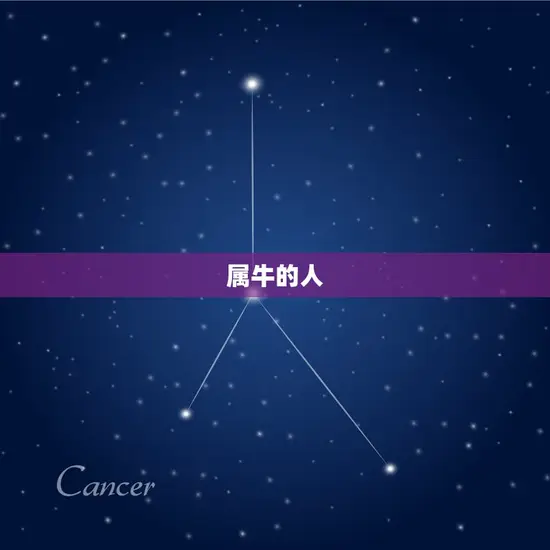 属牛的人