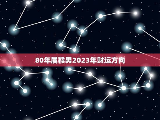 80年属猴男2023年财运方向(如何把握机遇赚取财富)