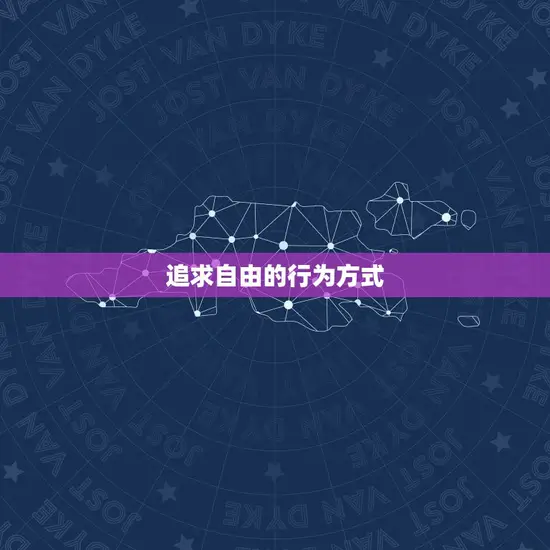 追求自由的行为方式