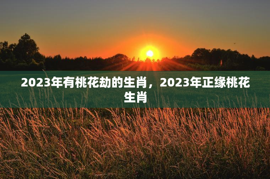 2023年有桃花劫的生肖，2023年正缘桃花生肖