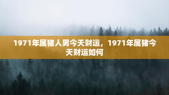 1971年属猪人男今天财运,1971年属猪今天财运如何 1971年属猪人男今天财运,1971年属猪今天财运如何