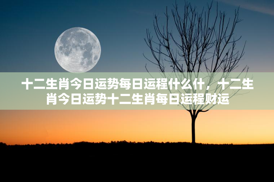 十二生肖今日运势每日运程什么什，十二生肖今日运势十二生肖每日运程财运