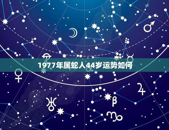 1977年属蛇人44岁运势如何(介绍财运佳事业顺利)