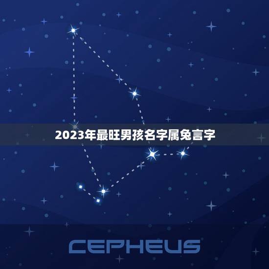 2023年最旺男孩名字属兔言字(介绍属兔男孩的命名要点)