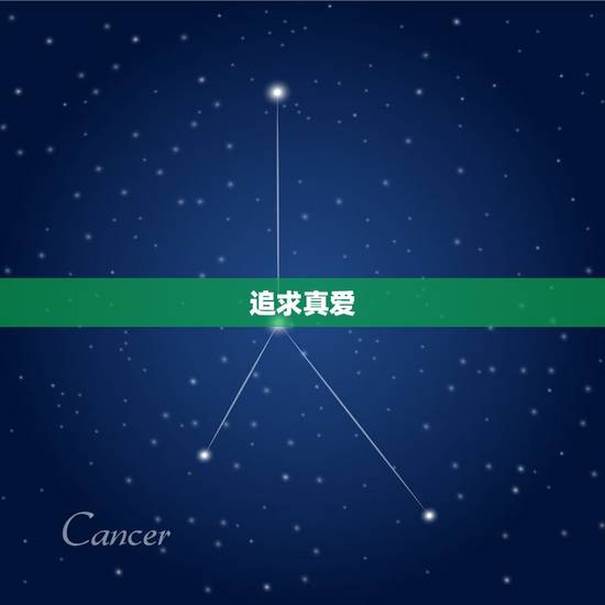 追求真爱