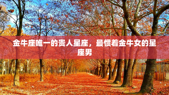 金牛座唯一的贵人星座，最惯着金牛女的星座男