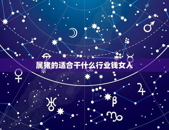 属猪的适合干什么行业钱女人(探秘职场猪妹子如何获得事业成功)