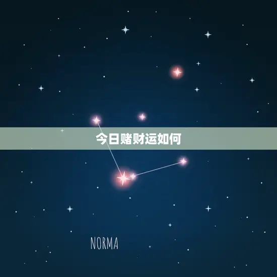 今日赌财运如何