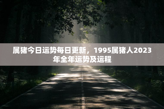 属猪今日运势每日更新，1995属猪人2023年全年运势及运程