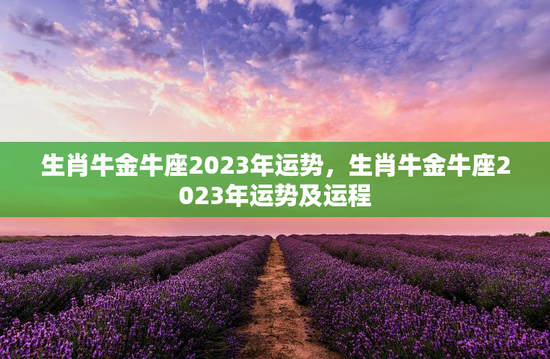 生肖牛金牛座2023年运势，生肖牛金牛座2023年运势及运程