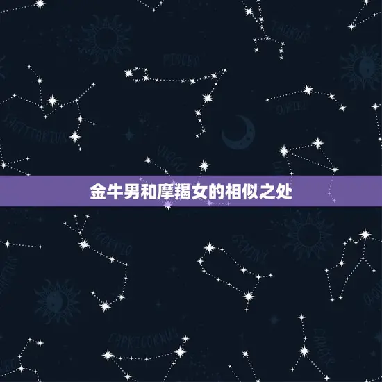 金牛男和摩羯女的相似之处