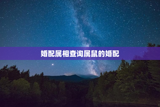 婚配属相查询属鼠的婚配，婚配属相查询属鼠的婚配好不好