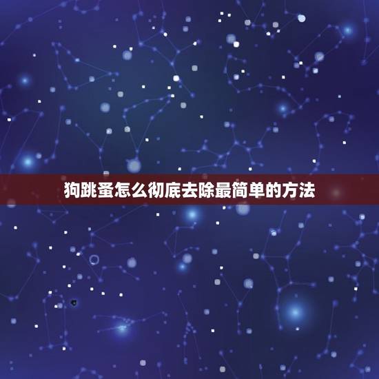 狗跳蚤怎么彻底去除最简单的方法(无毒、环保、高效的解决方法)