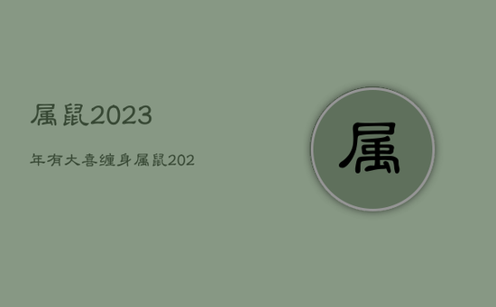 属鼠2023年有大喜缠身，属鼠 2023