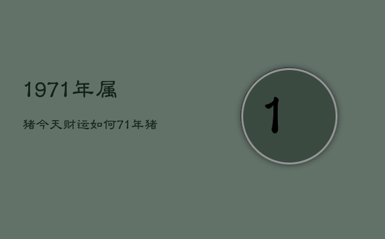 1971年属猪今天财运如何,71年猪今天的财运 1971年属猪今天财运如何,71年猪今天的财运