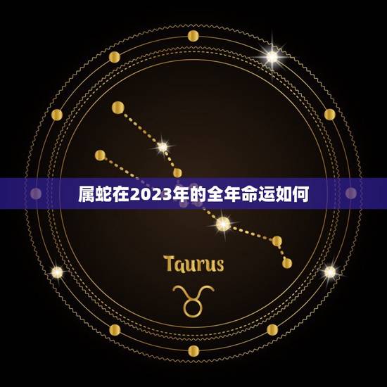 属蛇在2023年的全年命运如何(预测财运旺盛但需注意健康问题)