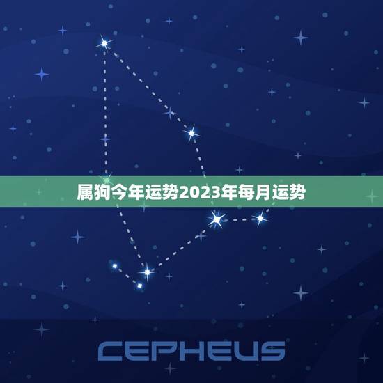 属狗今年运势2023年每月运势(详解幸运之星照耀财运旺盛)