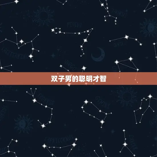 双子男的聪明才智