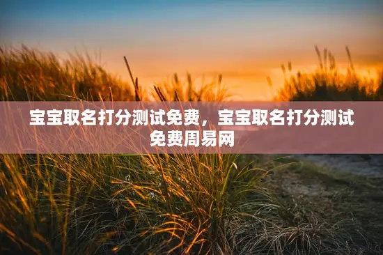 宝宝取名打分测试免费，宝宝取名打分测试免费周易网