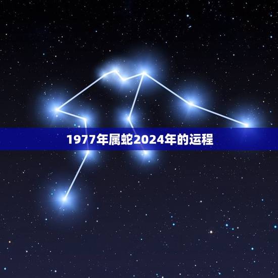 1977年属蛇2024年的运程(蛇行天下财运亨通)
